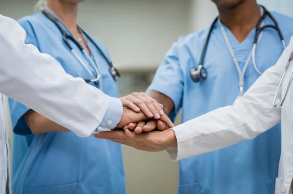 a team of locum veterinarians